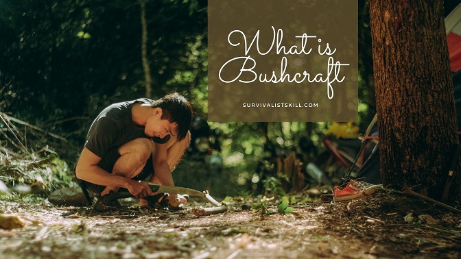 What is Bushcraft